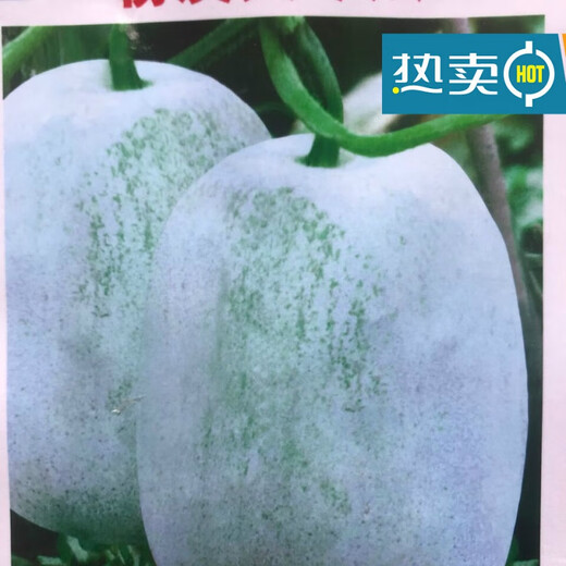 One melon per section, winter melon seeds, hairy section melon, small winter melon, stable yield for all seasons in spring, potted vegetable seeds, 100 pieces, pink-skinned winter melon