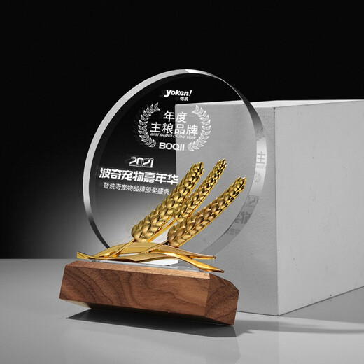 Feichuang Space und High-End-Holzkristall Trophäe Customized Souvenir Design und Produktion ausgezeichnete Trophäe Autorisierte Kartenpreisträgerin und Belohnungsdenkmale Sonderpreis Mini-Modell