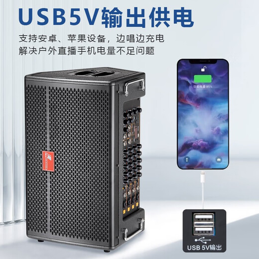 丹唛仕丹唛仕GT-9928户外唱歌音响专业乐器弹唱大功率网红街头演出K歌音箱 GT-9928弹唱音响