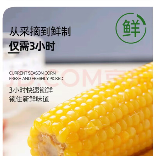 Fresh yellow waxy corn vacuum-packed instant corn low-fat whole grain meal replacement multigrain breakfast affordable 10 sticks 180g-220g/stick