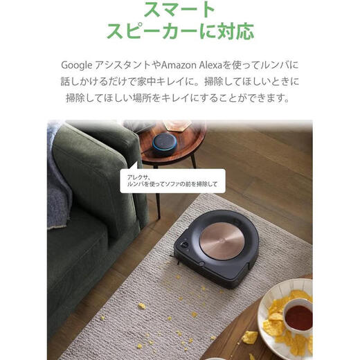 艾罗伯特（iRobot）【日本直邮】Roomba S9+扫地机器人 清洁家用智能便捷扫地机器人 强力吸力 自动垃圾收集 Roomba S9+【需变压器】