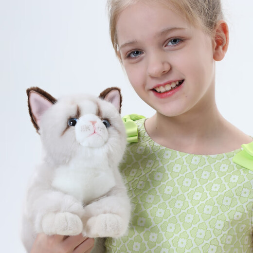 Cometa trapo Ragdoll Cat Plush Toy Doll Doll Doll Adornos almohada Valentín de San Valentín Regalos de curación para novia