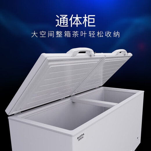澳柯玛（AUCMA）商用大容量冰柜家用茶叶柜冷藏冷冻柜单温转换节能省电雪柜深冷速冻鲜花保鲜冰箱冷柜肉柜一级能效 1级能效丨电子控温丨-18°丨730L