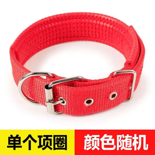 Oimg prolongé chien Laenh chien laisse chiens collier de marche mèche teddy golden retriever animal grand midi petit midi de chain de chien gras [s code] adapté à 3-10 Jin [Jin est égal à 0,5 kg]