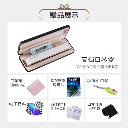 Oriental Ding Deutsch importiert Gong 28-lochen akzentuiert polyphonische # a/b/c/d/e/f/g # Flat Mundharmonica Performance Level B Tune Polyphonische Silber + Vollständige Geschenktüten