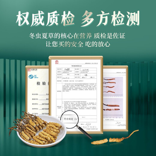 圣迪康藏冬虫夏草 新干虫草滋补送礼物佳品 送长辈礼品 营养品 3根/克  10克30根礼盒装