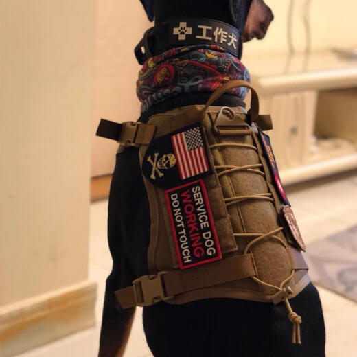 DADAGOU Dog Tactical Vest 1000D Vest Medium and Large Dog Vest Style Harness German Shepherd Golden Retriever Doberman Color Set [Includes two bags + one water bottle bag M-[Recommended 25-60Jin[Jin equals 0.5kg]]