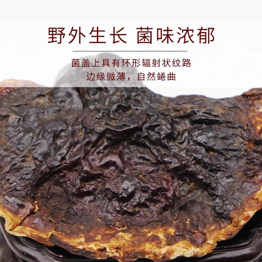 元族纯野生灵芝西藏正品干货林芝赤芝金边非孢子粉片礼盒装整枝500g克 灵芝1斤+30年以上桑黄700克以上