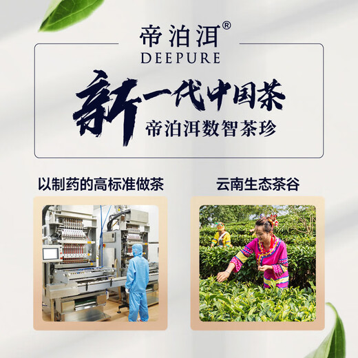 帝泊洱 即溶普洱茶珍速溶茶云南普洱茶 甘醇型40支普洱茶珍