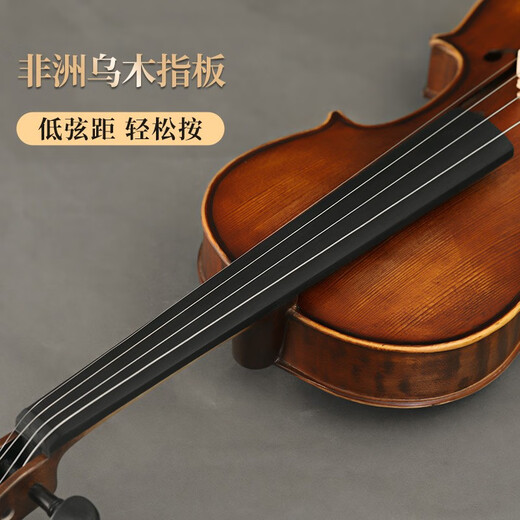 凤灵小提琴成人儿童专业演奏级初学者入门欧料手工琴进口10年实木L6 4/4适用高155-220cm