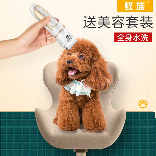 Ant Dog Shaver, Pet Electric Clipper, Cat Teddy Dog Hair Clipper, Foot Hair Clipper, Complete Supplies (Silent and No Hair Stuck), Pearl White (Preferred Set)