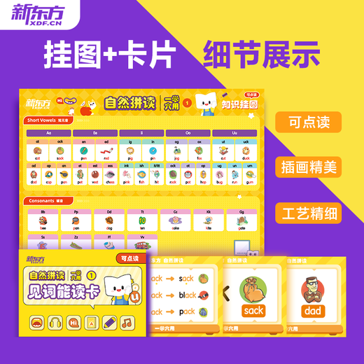新东方自然拼读 音标拼读 一盒六用3-12岁英语启蒙入门英文歌谣 英文绘本点读趣味互动 【含配套点读笔】自然拼读全套 3盒