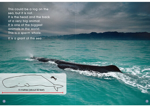 Echte vorgefertigte mehrdimensionale Lektüre (Stufe 9). 12 Bände stehen zum Klicken auf Lektüre zur Verfügung