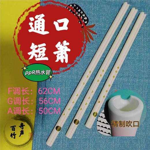 悠颜洞箫通口短箫水管箫口袋箫FGA调初学正反手八孔箫百竹奇声乐器 G调短箫正手通口款（初学推荐）