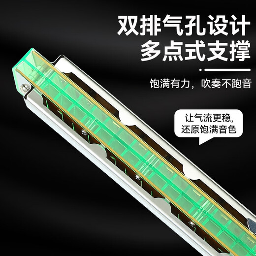 Jiaoyun Harmonische Anfänger Studenten 24 Loch Einführung polyphonischer Stress für Erwachsene C oral Organ Instrument Blau 24 Loch Stress +