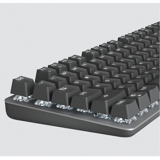 罗技（Logitech） K845有线游戏键盘 机械办公键盘 104键DIY键帽电竞键盘吃鸡键盘 小刘鸭联名节日礼物 【K845小刘鸭系列】 黑色  青轴
