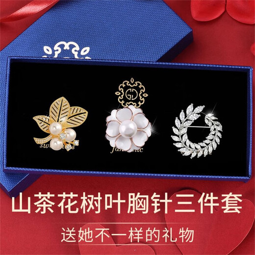 Dingjing brooch for women, high-end simple corsage, silk scarf, anti-exposure buckle, suit collar, brooch set, gift box, birthday gift, camellia brooch set box TW129