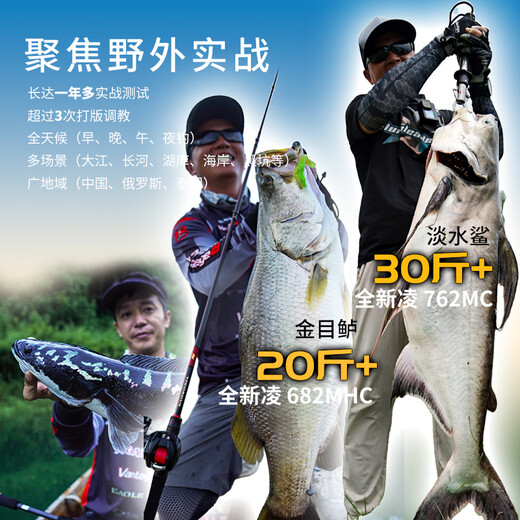 Lingfeng 24 Lingluya-Stangen Langstrecken Schussstange gerade Pistole Griff Carbon Insektenstange Ultra-Lichtgewicht