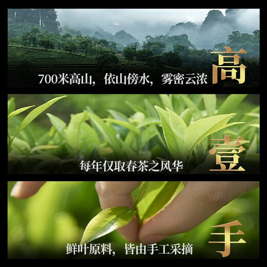 Song Huang Milan Xiang Tee Oolong Tea Phoenix Dantong Tee Tanzong Tee Mingqianchun Tee Enterprise Geschenk Geschenke Geschenke Geschenkboxed 6G2 Dosen mit mirillierter kostenloser Geschenk