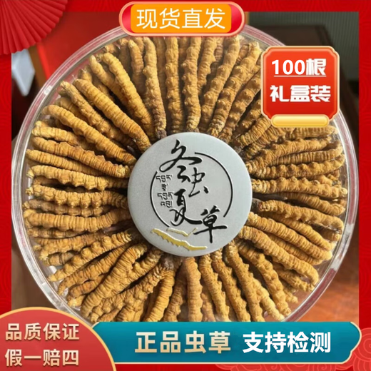 Cordyceps sinensis Tibetan high altitude cordyceps dry goods nourishing gift box 2 sticks per gram 100 sticks gift box