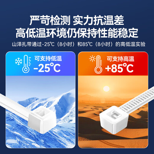山泽 自锁式尼龙扎带 线缆电脑桌面装机 园艺理线束线捆扎多功能绑带 专业自锁式 透明尼龙扎带 100根【100*2.5mm】HZD-12