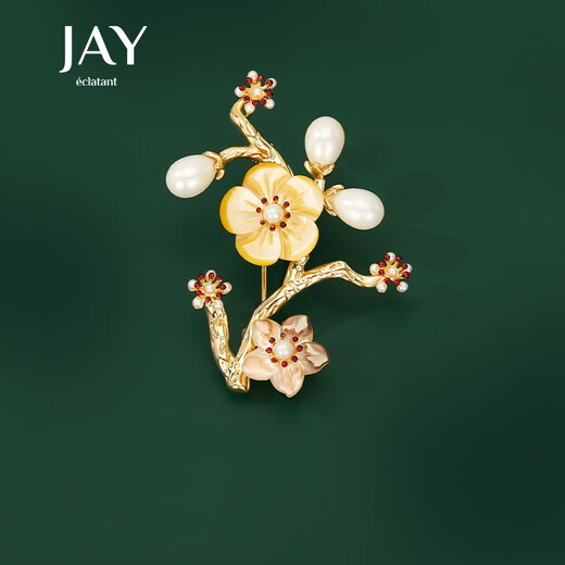 Jay Gongmei Brooch Women's Pin Flower Corsage Accessories Birthday Gift for Elder Mothers and Mother-in-law