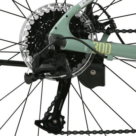喜德盛（xds）平把公路自行车极速300机械碟刹8速变速X6铝合金车架 碧青/鹅黄 700C*480（建议身高165-180）