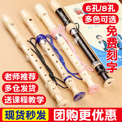 SHANBEI Rec parleur allemand Treble 8 trous d'école primaire à 6 trous pour débutants Instruments de musique à six trous à six trous (sac en tissu) poudre de 8 trous + papier matériel