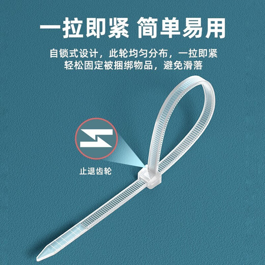 山泽 自锁式尼龙扎带 线缆电脑桌面装机 园艺理线束线捆扎多功能绑带 专业自锁式 透明尼龙扎带 100根【100*2.5mm】HZD-12