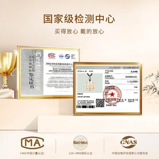 ALLOVE Nafujiyan sterling silver necklace men's and women's Wushi brand pendant birthday gift for boyfriend, husband and dad practical gift