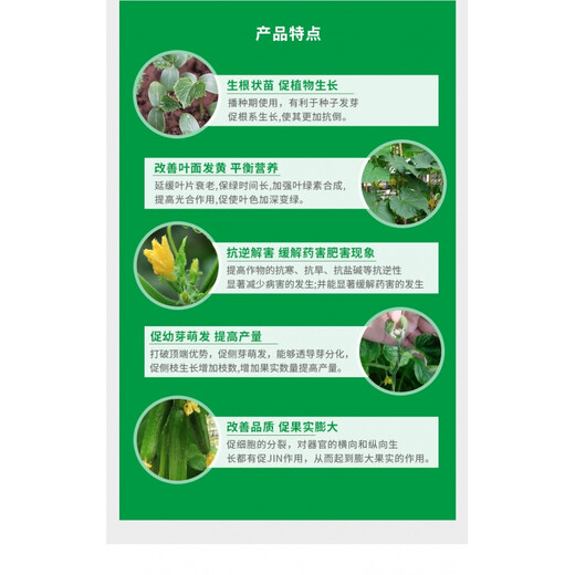 Dapeng 24-Epibrassinolide 0.01% flower, fruit and vegetable growth regulator that reduces flower and fruit drop 500ml