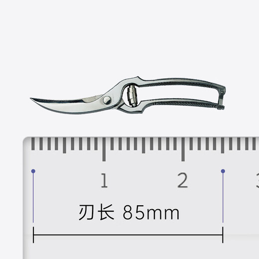 VICTORINOX Slightly Flawed Kitchen Utensils Kitchen Utensils Scissors Chicken Bone Scissors Steel Color 7.6345