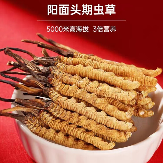 冬虫夏草（顺丰直发)藏区高海拔冬虫夏草礼盒送礼高端大气上档次 那曲虫草4根1克20条装