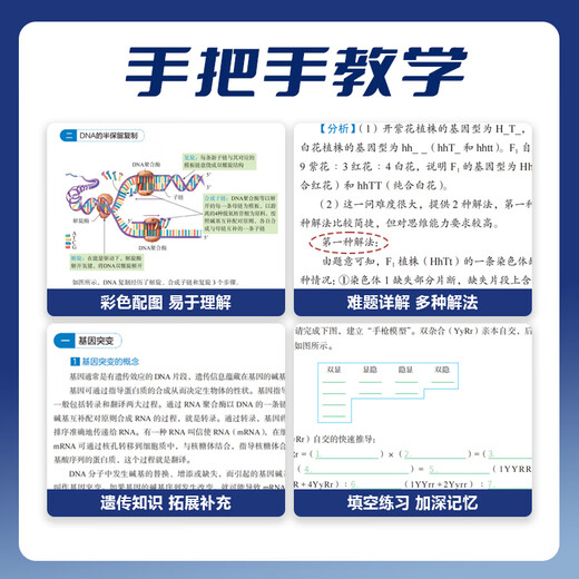 JD.com обеспечивает 2024 г. Хансхуй Чоу учеников средней школы биология базовые знания нулевые основы генетики Руководство по сбору генетики Пота студентов студентов. Биология колледжа. Один и два раунда обзор и образование.