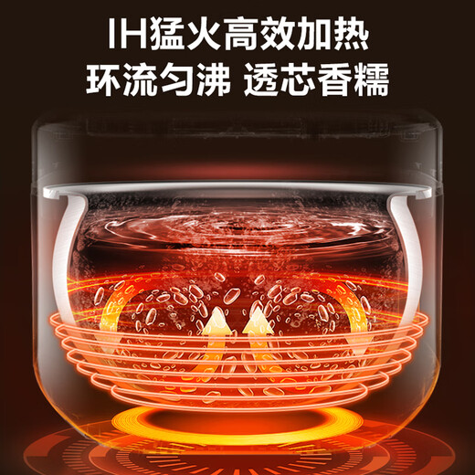 苏泊尔（SUPOR）官方推荐IH猛火电饭煲防粘0涂层4L高端电磁加热316L不锈钢球釜加厚内胆电饭锅家用智能多功能锅 微坑防粘0涂层 4L （可用4-8人）