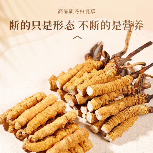 Authentische tibetische hohe Höhe Cordyceps sinensis gebrochenes Gras Ganzfleischfest 10 g große Flaschen für Hausgebrauch Trockenwaren Authentische Produkte Tibet Nagqu Ganzfleischfest 20g [2g kostenlos]