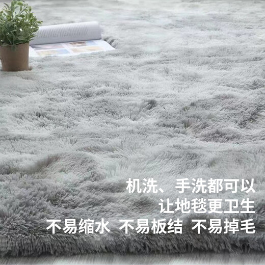 Zhenxiqi bedside carpet, bedroom bay window mat, living room plush warm carpet, coffee table mat, thickened non-slip carpet, light gray gradient color 80*200cm