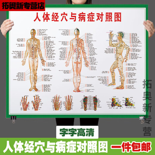 Miaopule human body acupoints high-definition illustrations complete traditional Chinese medicine health care human body meridian acupoints chart large wall chart whole body high-definition acupuncture points 017 human muscle and bone diagram pp glue can be peeled off and can be pasted 50x70 cm = 28 inches