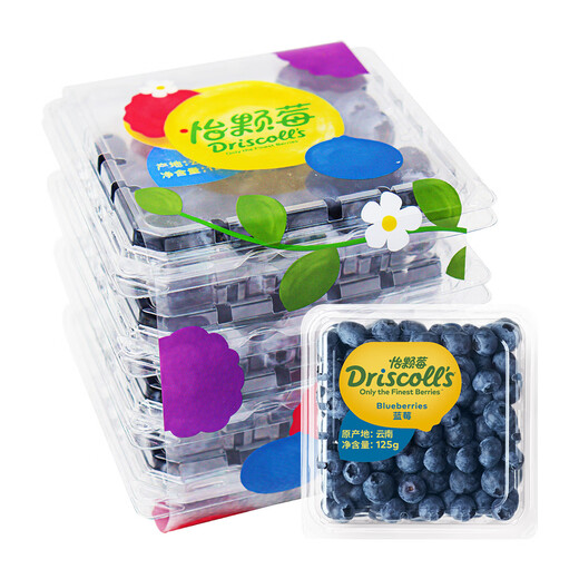 Yikeberry Driscolls Saison Yunnan Blaubeeren 14mm+ 4 Kisten 125 g/Box Frische Früchte