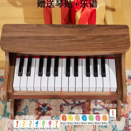 童雀六一儿童生日礼物 儿童木质小钢琴电子琴男女孩宝宝音乐早教玩具 25键棕色【木质电子钢琴】 送琴谱加琴贴