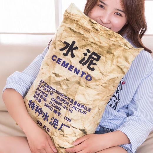 Meikejie Creative Simulation Pillow Personalized Cement Pillow Sofa Cushion Plush Toy Gift Funny Birthday Salon Bag Large Size 50*34cm (with Chicken Legs)
