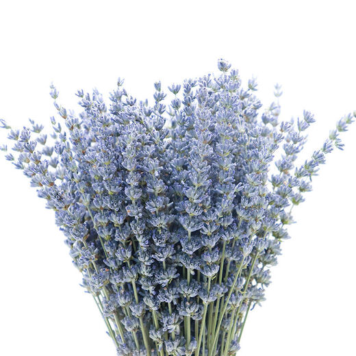 AIMAN dried lavender bouquet living room home decoration natural dried bouquet real flower aromatherapy internet celebrity flower arrangement ins gift 100g space blue dark blue new summer flowers all in English newspaper packaging