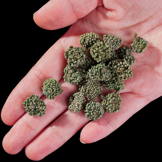 北京同仁堂云南三七花500g中药材田七花泡水正宗非甘草片 【罐装】三七花500g