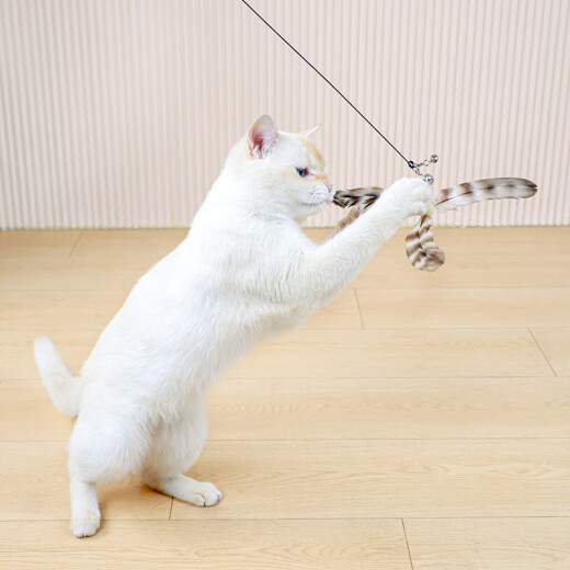 CLCEY cat toy self-pleasure and boredom cat stick log cat toy long pole steel wire feather with bell pet toy log handle white feather