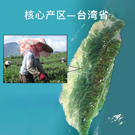 
Shangxuan Qingxin Frozen Oolong Tea + Jinxuan Alishan Tea Original Imported in Taiwan Gaoshan Tea Gift Box 300g
