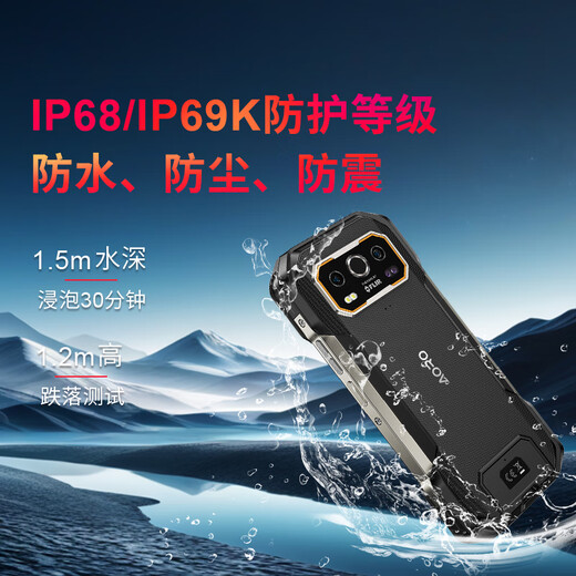 遨游（AORO）A30-12+256G 菲力尔（FLIR）热成像仪测温IP68三防5G工业专业级智能手机大电池 A30-12GB+256GB 热成像三防版