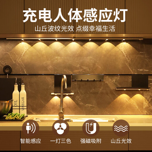 Qifan LED human body sensor lamp with charging wireless kitchen wardrobe cabinet shoe cabinet entrance cat eye lamp hill ripple lamp 1 pack ultra-thin 40CM black shell/3 lamp beads