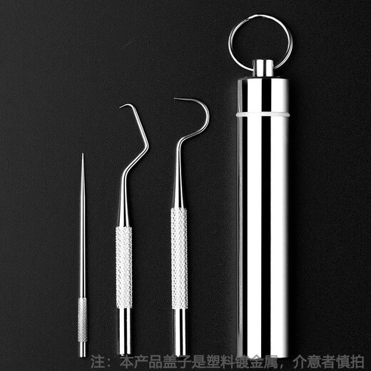 Meet the Beauty Stainless Steel Toothpick Metal Teeth Picking Calculus Remover Portable Oral Teeth Cleaning Set Tool