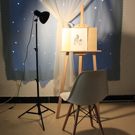 Miscellaneous new still life sketching lamp still life sketching lamp studio art student special sketch spotlight lighting photography lamp creative 1.5 meter sketching lamp + 50W white light