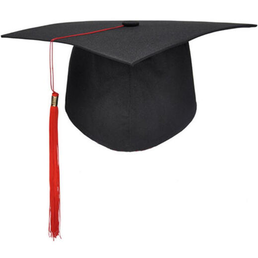 奥义驰成人礼帽定制学士帽博士帽硕士帽学位帽十八岁帽现货供应毕业典礼 硕士帽子（纸板） 均码